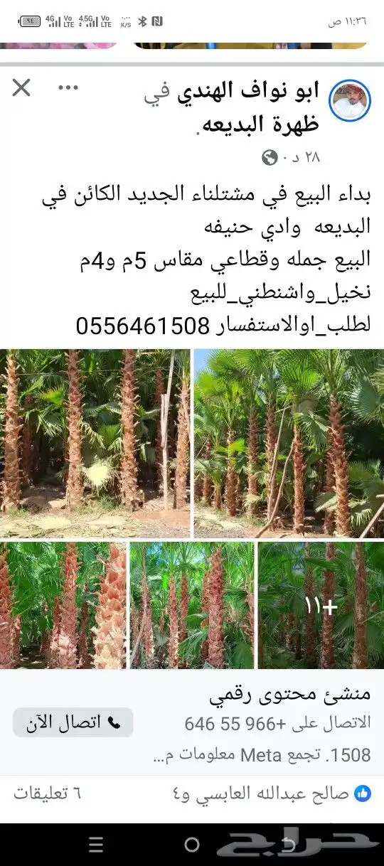نخيل وشبوك وبناء حجر وتراث 5