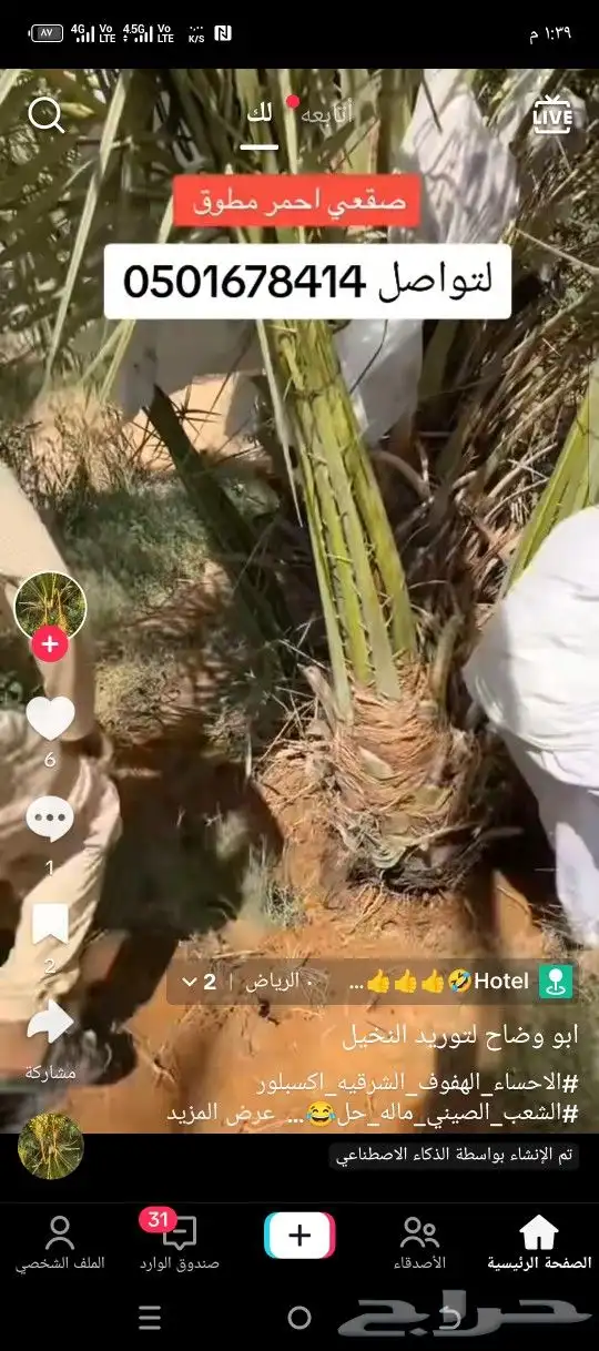 نخيل وشبوك وبناء حجر وتراث 8