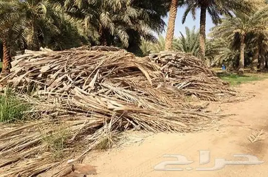 خوص وكرب للبيع 0