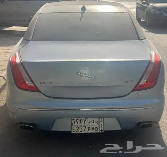 جاكوار مصدومه ممشى قليل 3