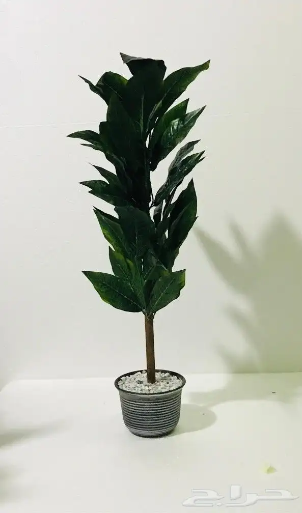 اشجار صناعية 2