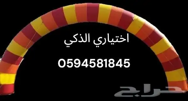 تفصيل مناطيد وبوابات سباق حسب الطلب ملحقات مجانيةوشحن مجاني 3