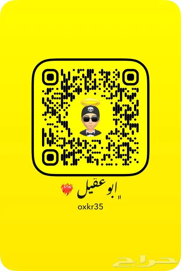 زوجين البادجي 2