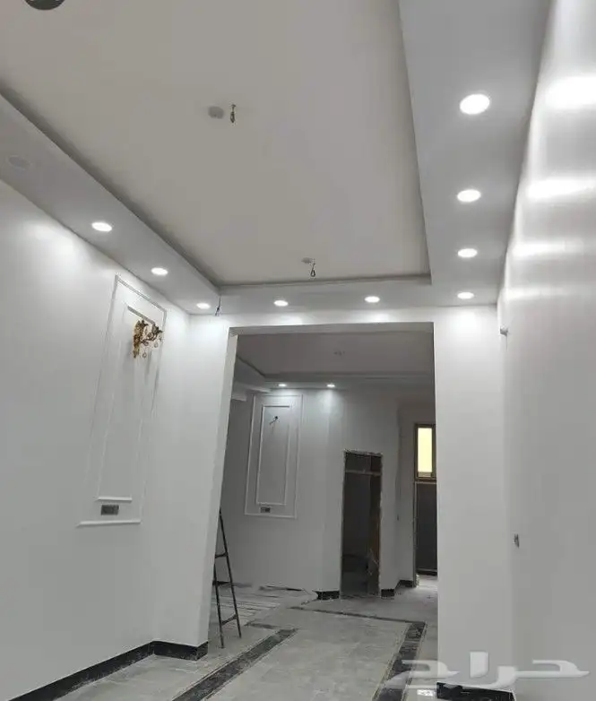 شغل صبغة بويا دهانات دهان ديكورات معلم باكستاني 6