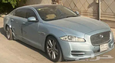 جاكوار مصدومه ممشى قليل index