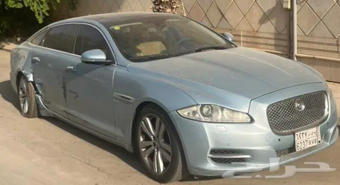 جاكوار مصدومه ممشى قليل 0