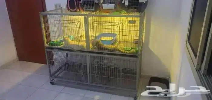 قفص للحيوانات 1