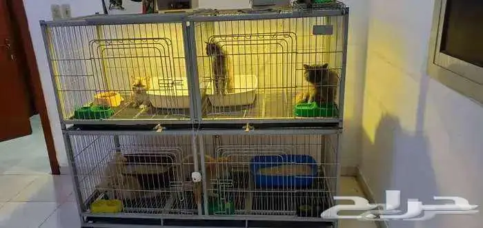 قفص للحيوانات 2