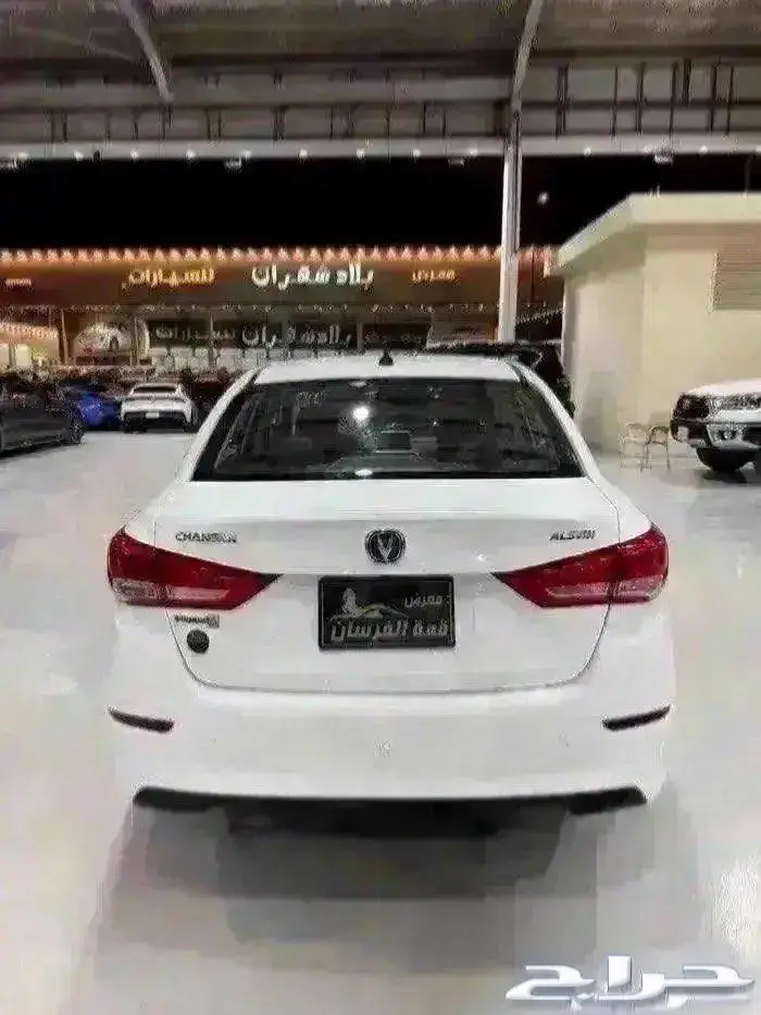 شانجان السفن 2023 فل كامل 5