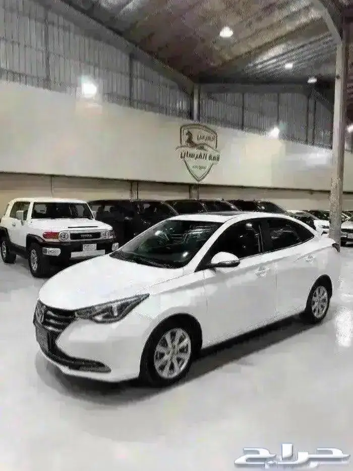 شانجان السفن 2023 فل كامل 2