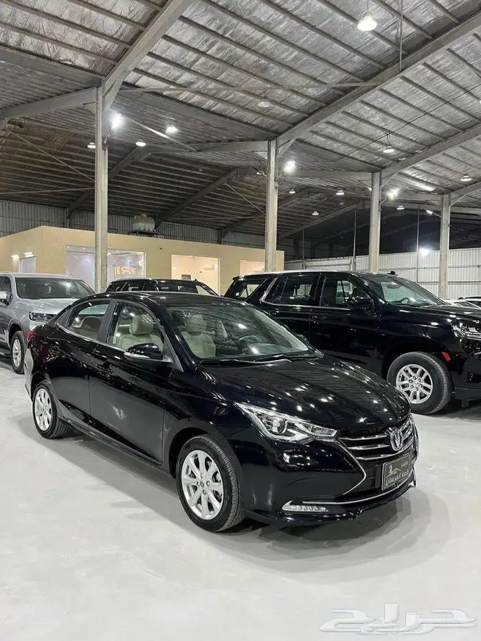 شانجان السفن 2024 فل كامل 1