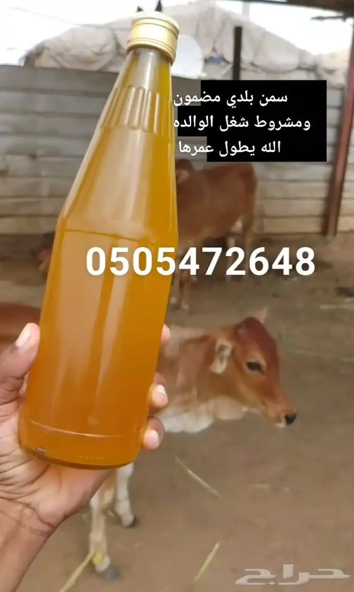 سمن بلدي مضمون بقري مع الخلاصة والحقنه 0