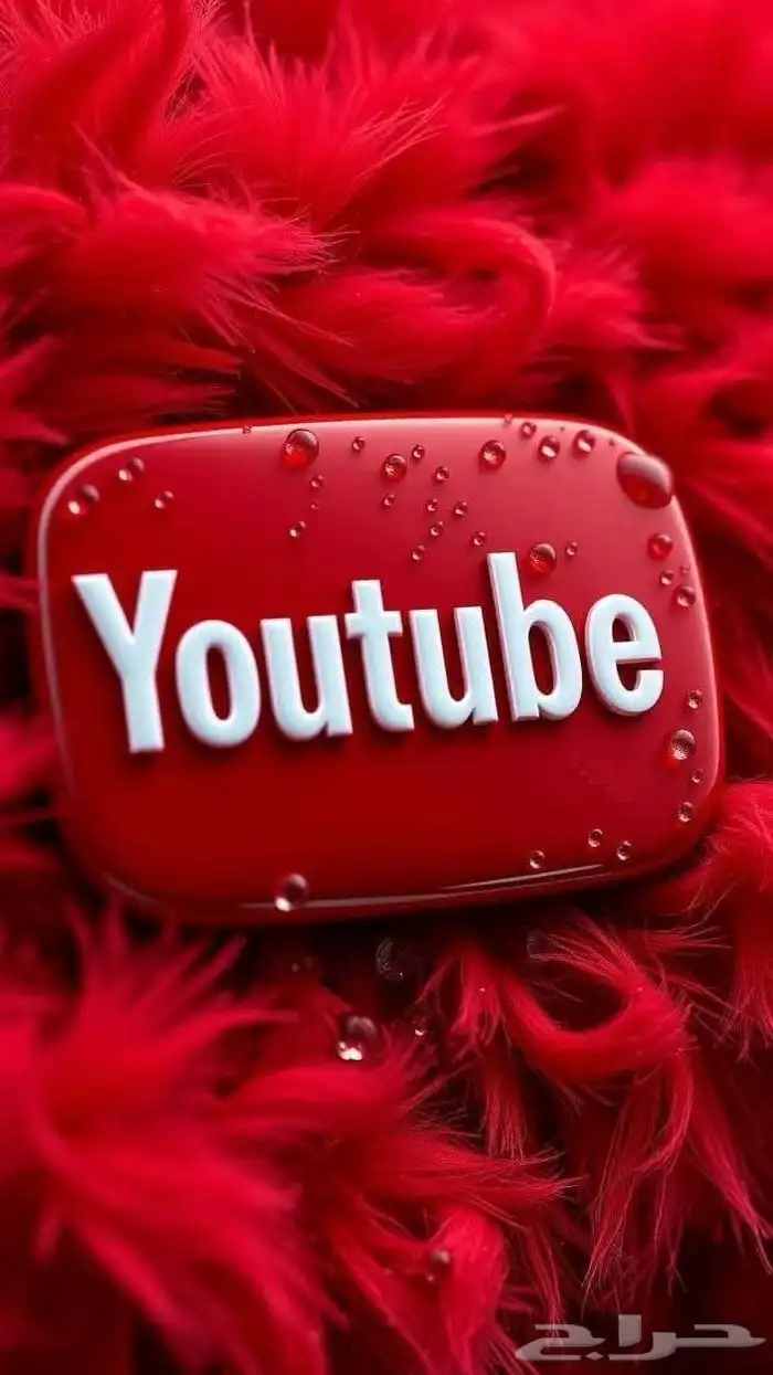 اشتراك يوتيوب بريميوم شهر فردي بايميلك الخاص 5