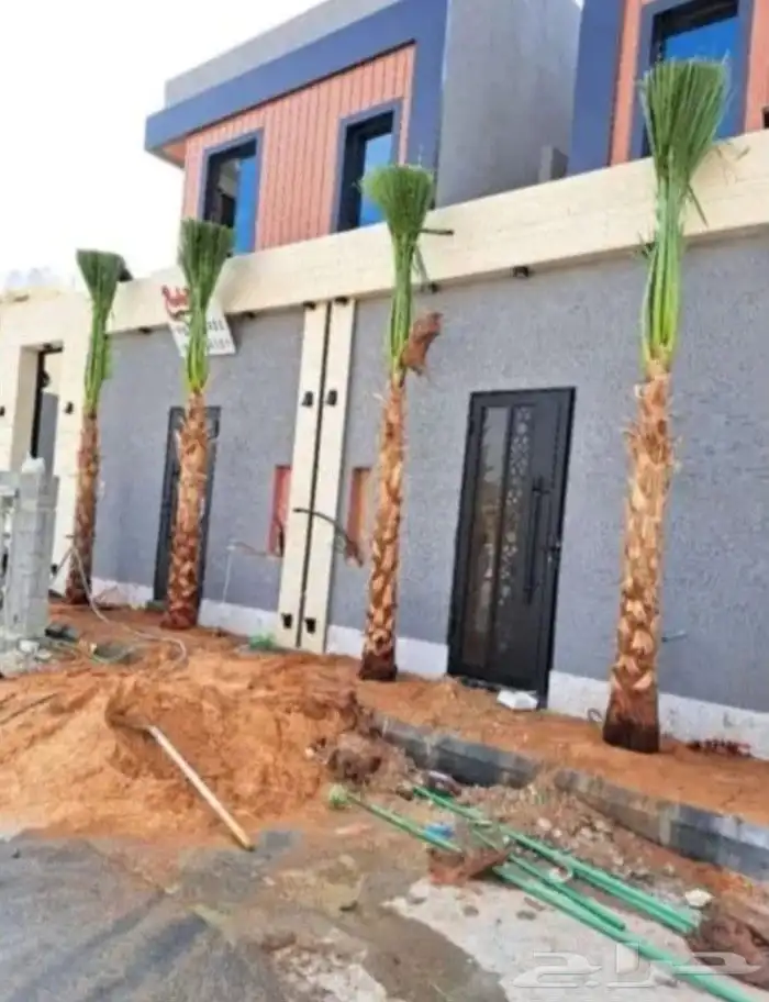 نخل المجمعه 2