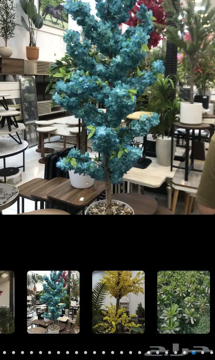 مقاول تنسيق حدائق منازليه وخارجيه 6