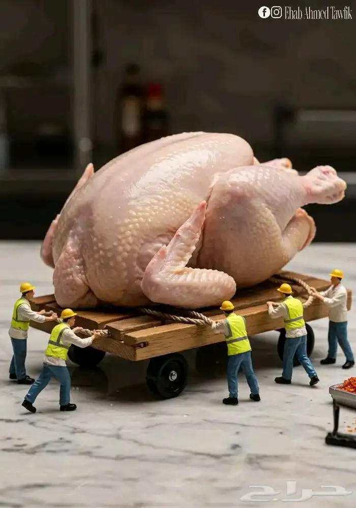 السلام عليكم متوفر دجاج مبرد وشاورما مبرد اسعار جمله 2