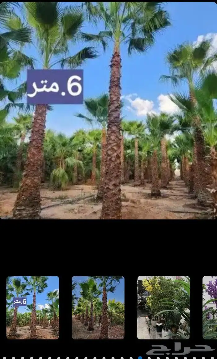 مقاول تنسيق حدائق منازليه وخارجيه 4