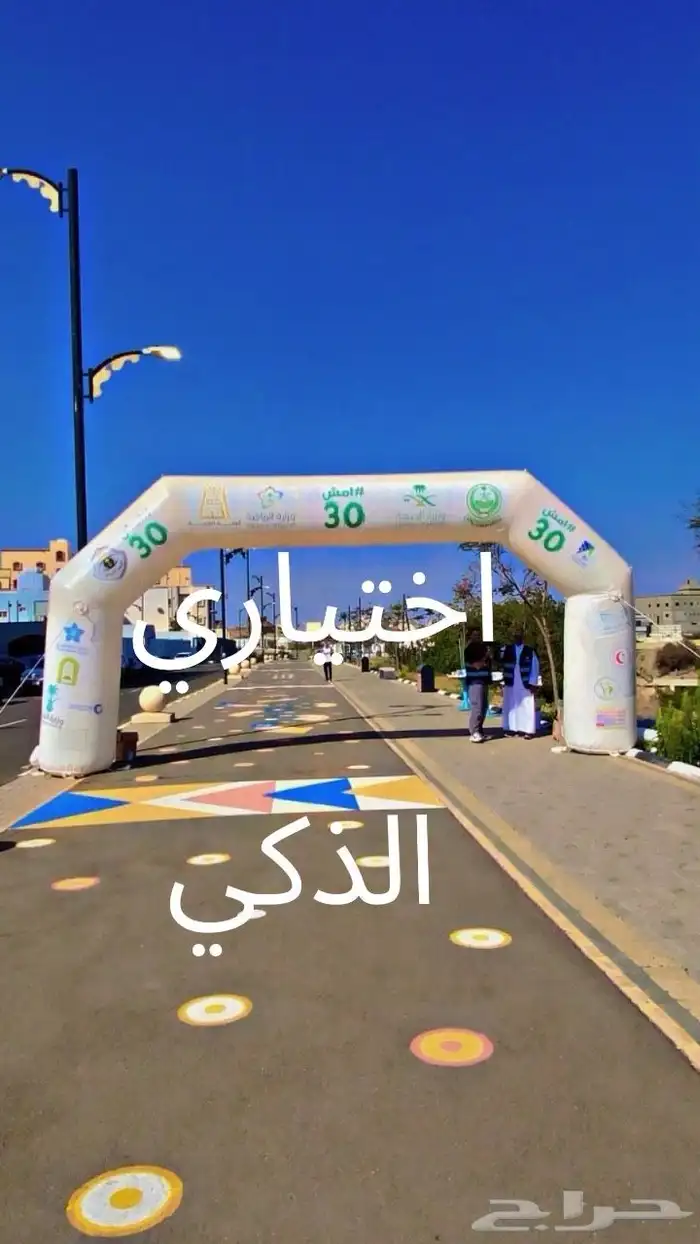 تفصيل مناطيد وبوابات سباق حسب الطلب ملحقات مجانيةوشحن مجاني 5