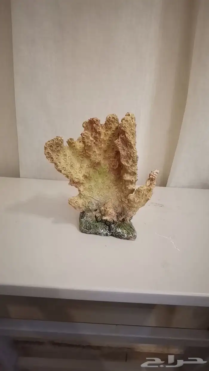 تحف حوض الهوايه تربية السمك زينه 5