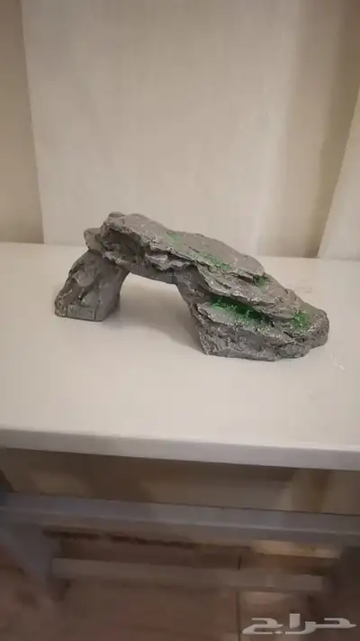 تحف حوض الهوايه تربية السمك زينه index