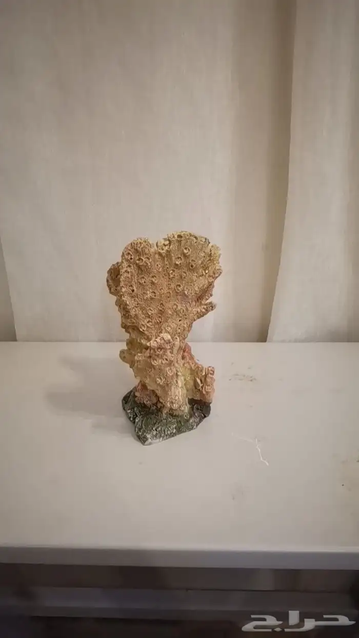 تحف حوض الهوايه تربية السمك زينه 4