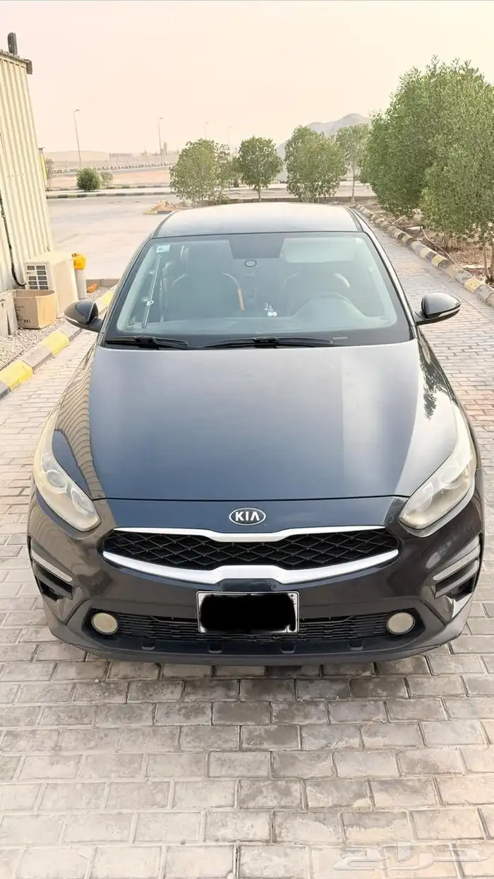 كيا سيراتو 2019 0