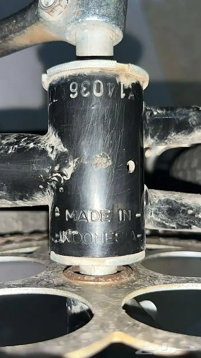 رامبو أصلي للبيع السوم يكون فوق 400 6