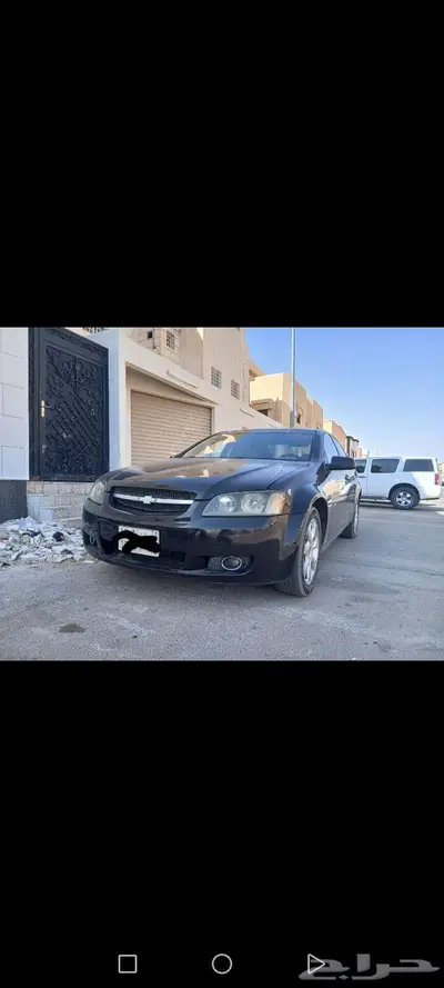 لومينا 2010 index