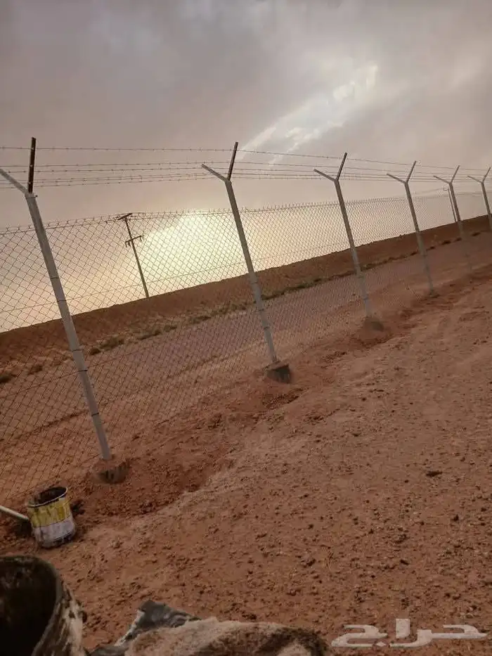 تركيب الشبوك وزراعه النخيل 4