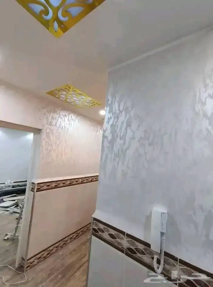 دھان  ا ستاني 3