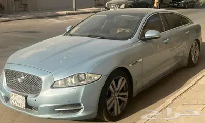 جاكوار مصدومه ممشى قليل index