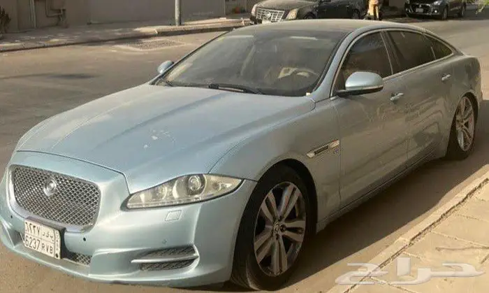 جاكوار مصدومه ممشى قليل 4