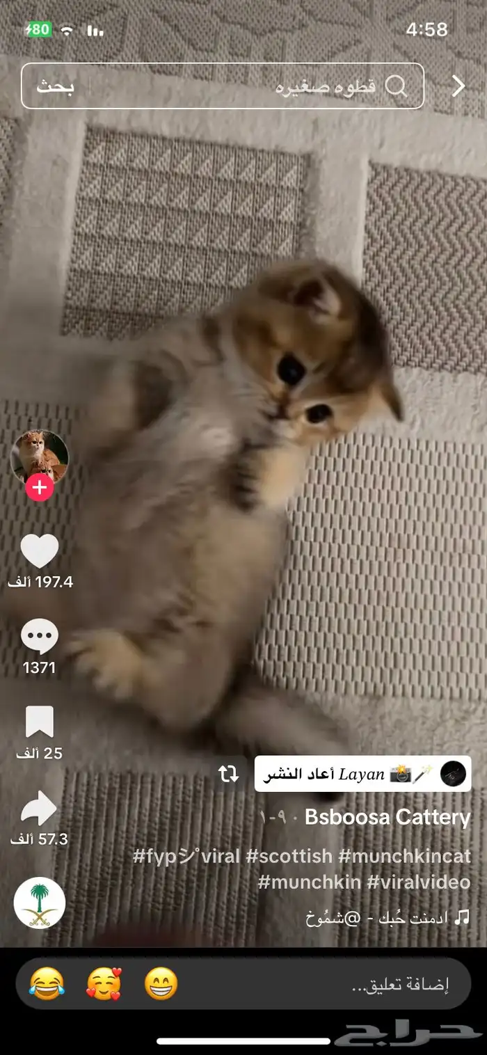 مين عنده مثل ذي للتبني  عمرها شهرين 0