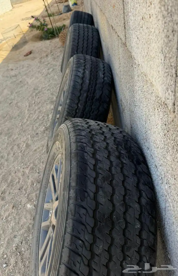 جنوط فوتشينر وكالة 1