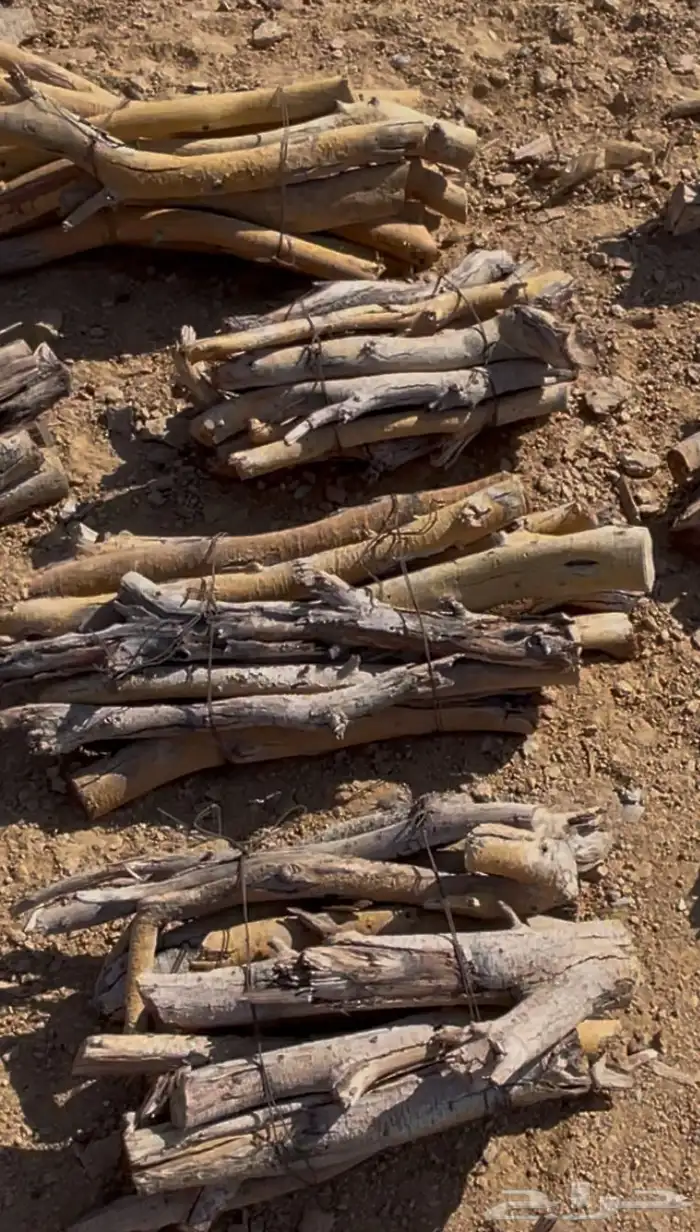 خشب مستورد 0