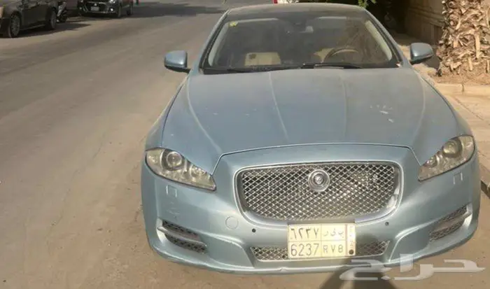 جاكوار مصدومه ممشى قليل 2