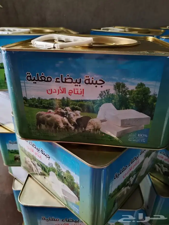 جبنه عرب مقليه 3