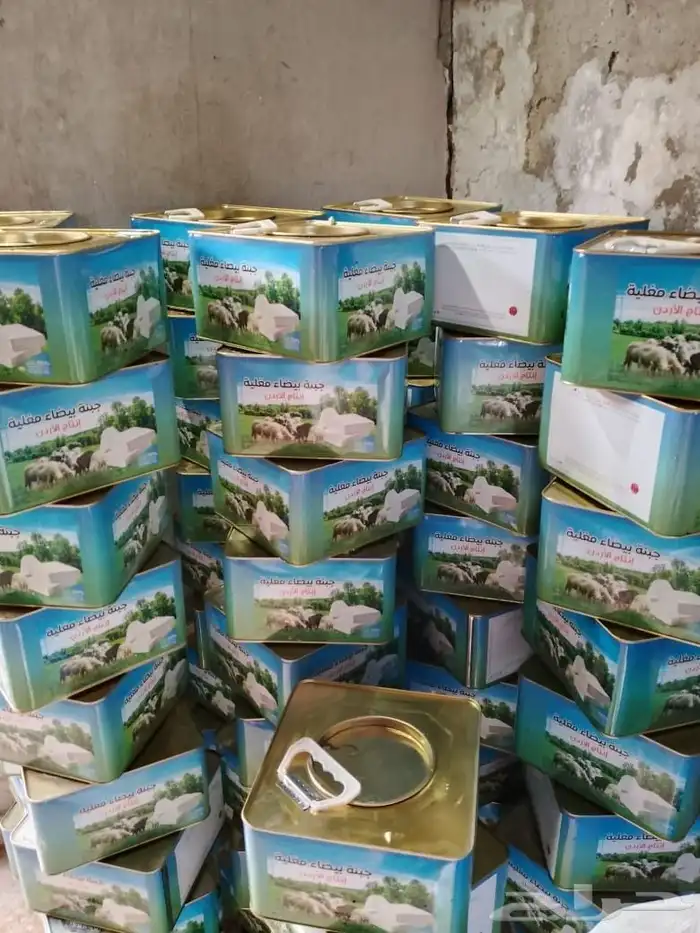 جبنه عرب مقليه 2