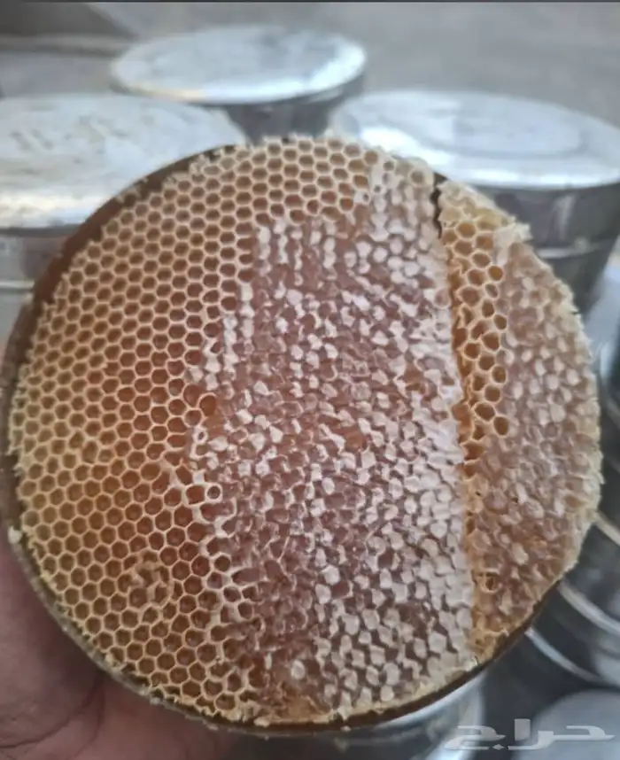 عسل سدر دوعني وعسل السمره الموسم الجديد 0