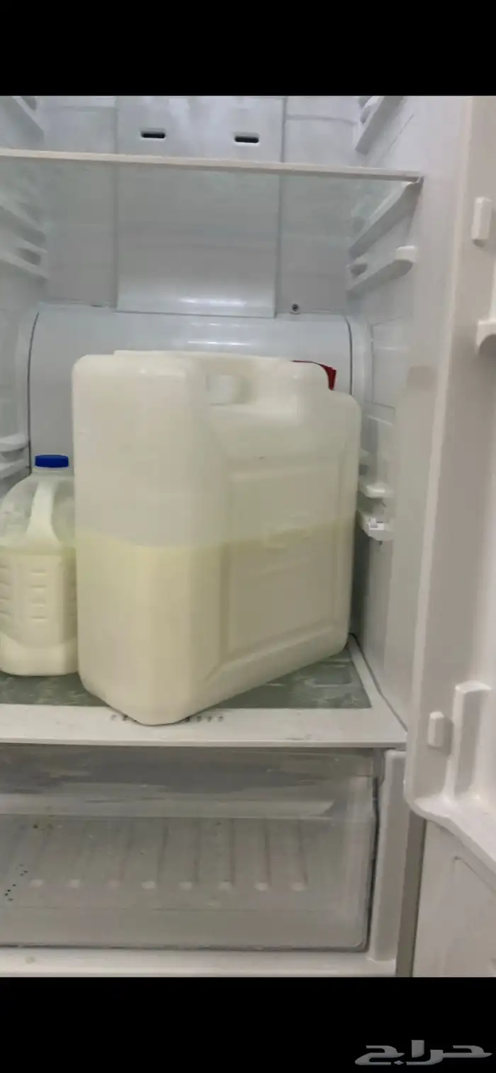 لبن بقر   لبن معزا 1
