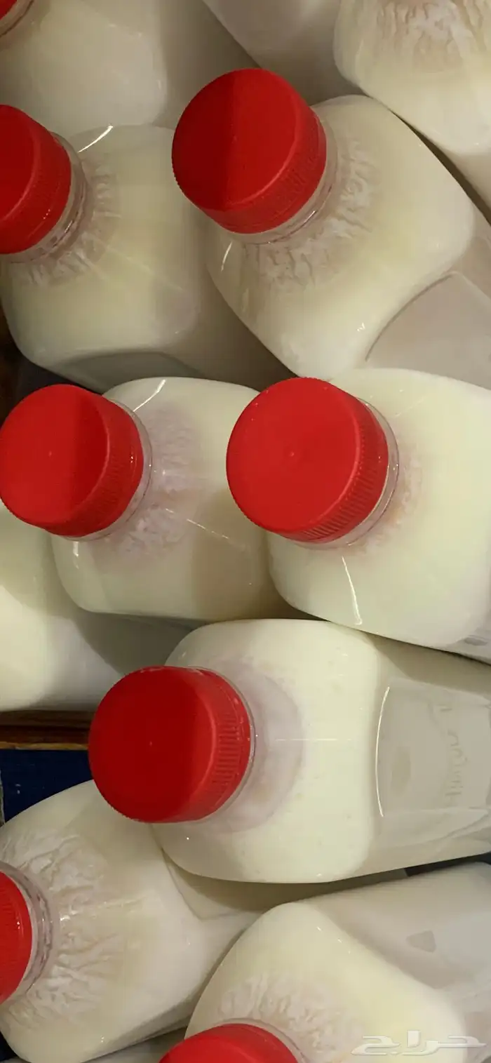 لبن بقر   لبن معزا 0