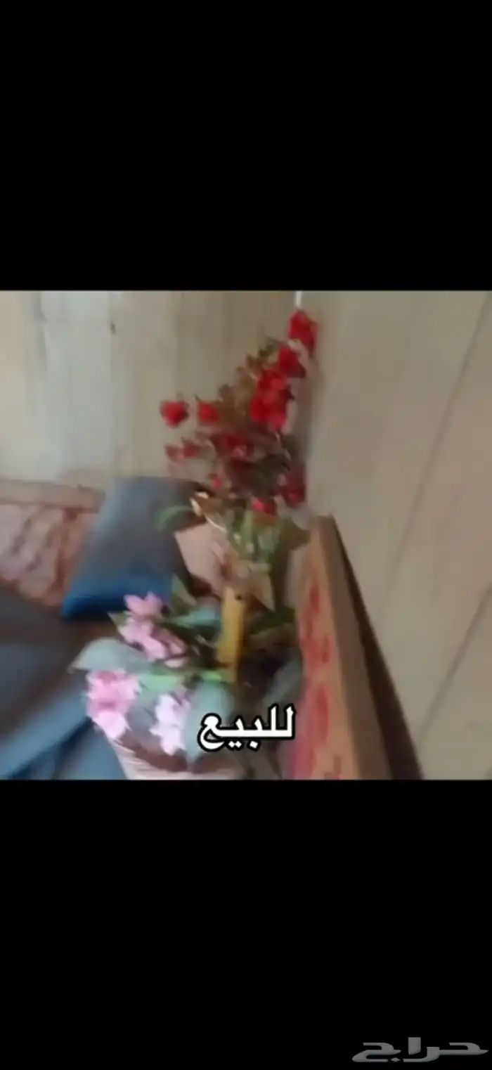 مخيم جاهز للبيع 17