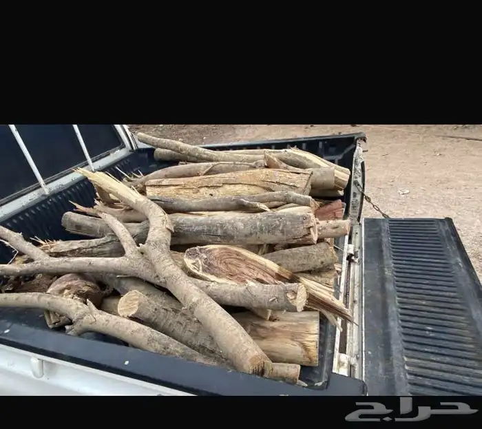 يوجد سمر و مبروم 0