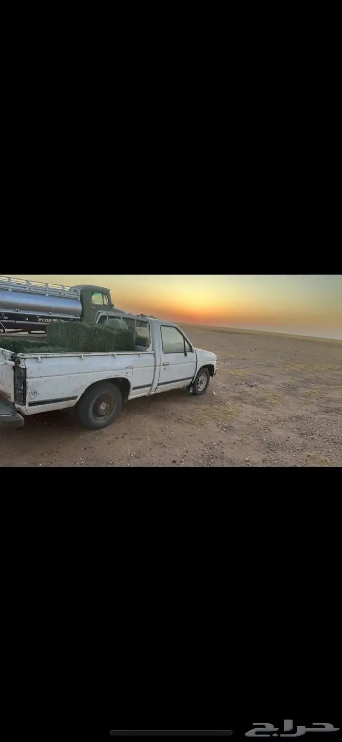 ددسن غمارة 0