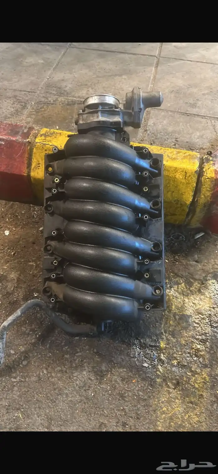 ديكورات كابرس 2009 0