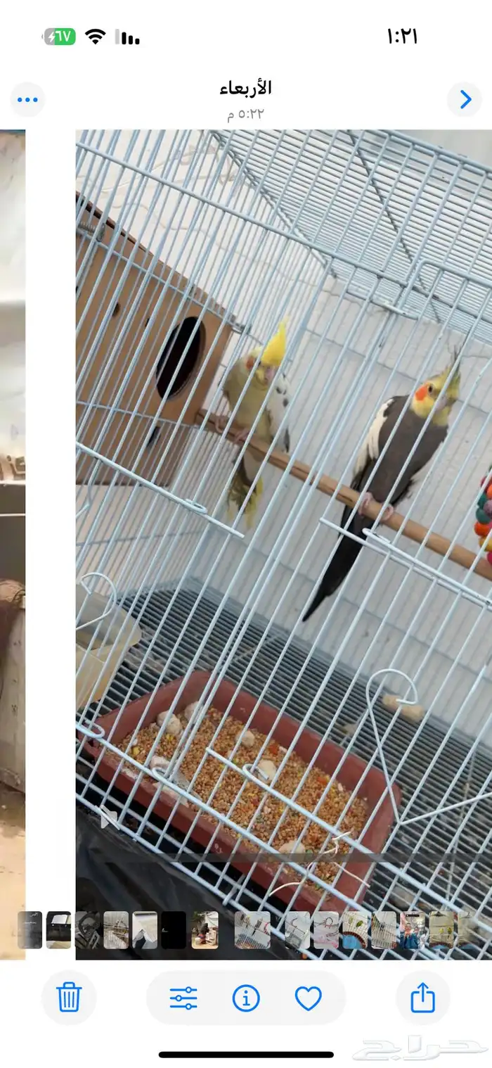 زوج كروان تركيب جديد البيع مستعجل 0