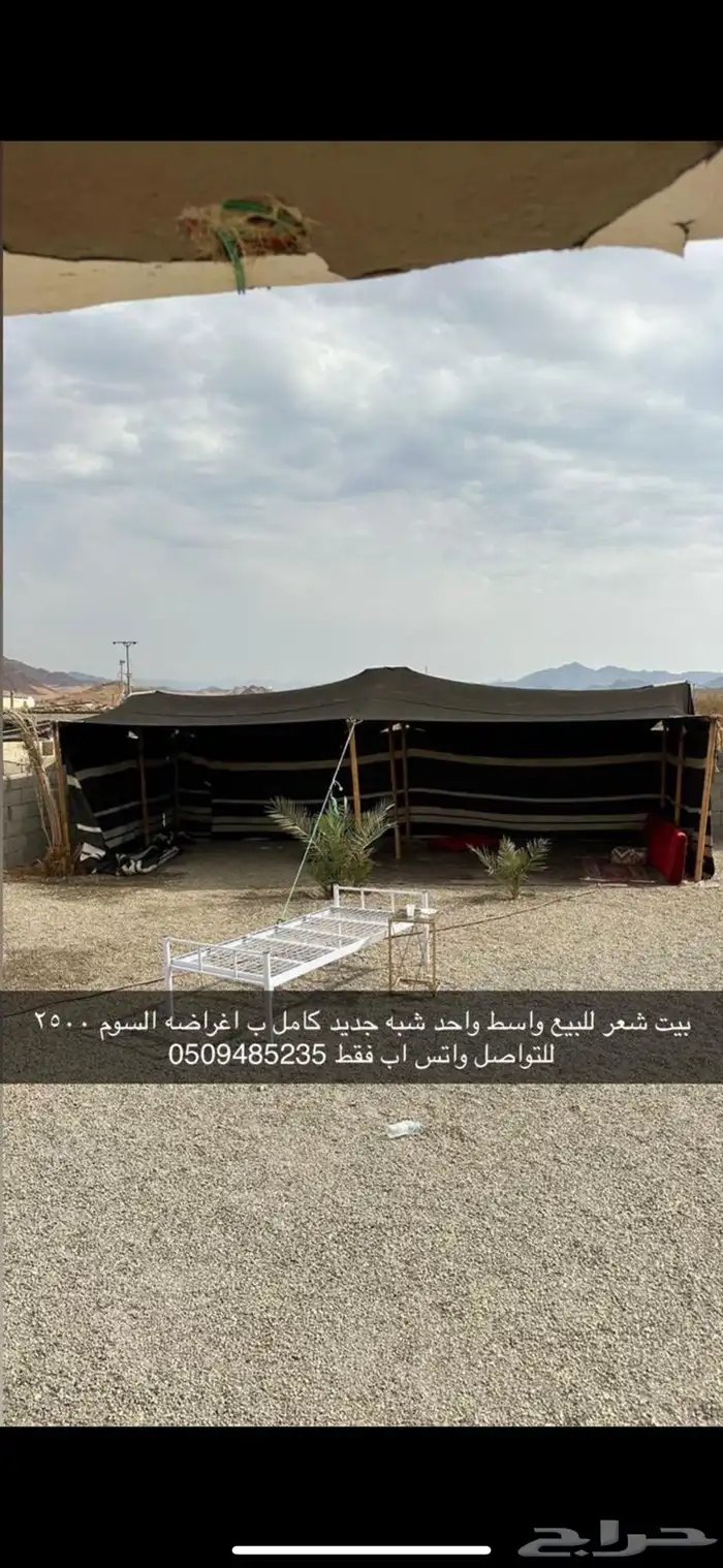 بير شعر وعنز 0