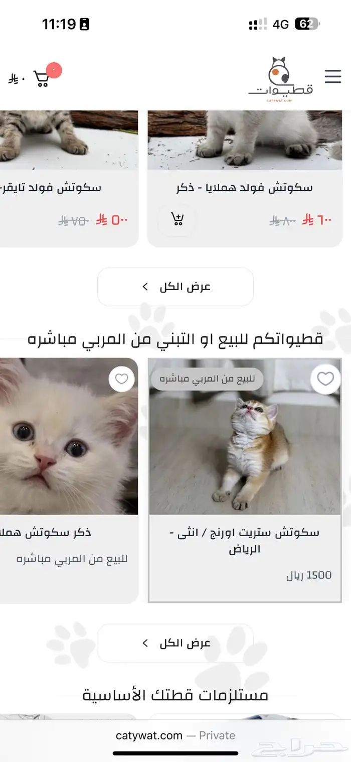 نعرض قططكم للبيع والتبني - الان مجانا  في موقع قطيوات 1