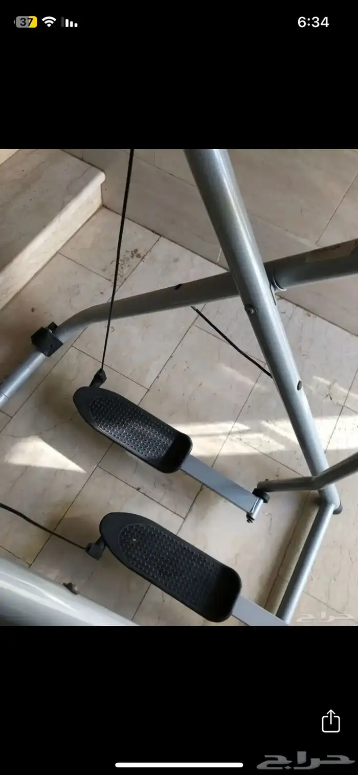 غزال الطائر 1