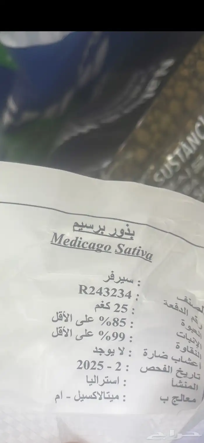 برسيم امريكي واسترالي للبيع 4